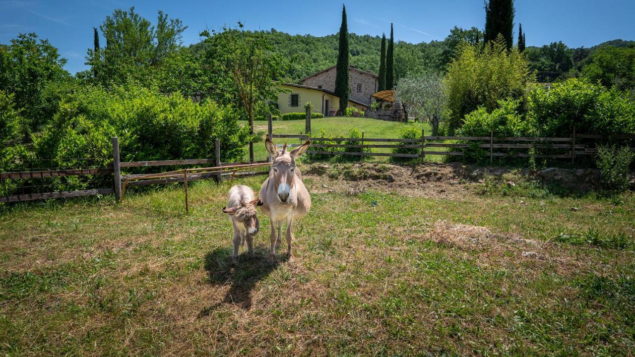 Agriturismo I Pietrini Περούτζια Εξωτερικό φωτογραφία